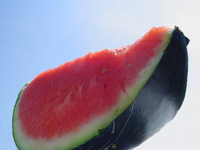 Снимка: Sxc.hu