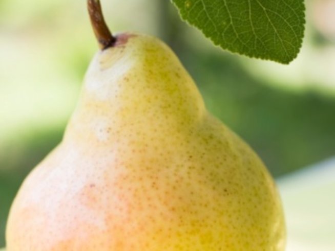 Снимка: Gettyimages.com