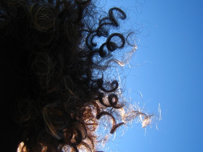 Снимка: Sxc.hu