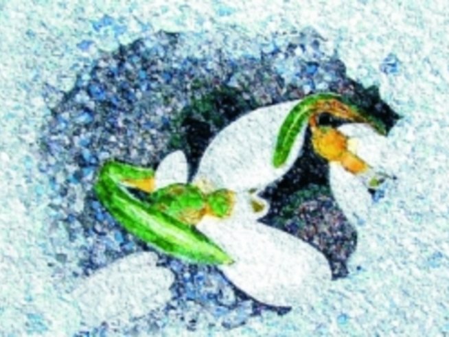 “Каменно вълшебство” – изложба от мозайки