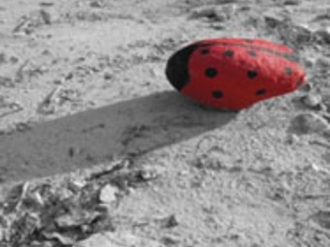 Нестандартни форми в природна среда