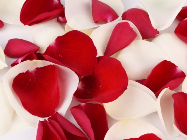 Снимка: photl.com