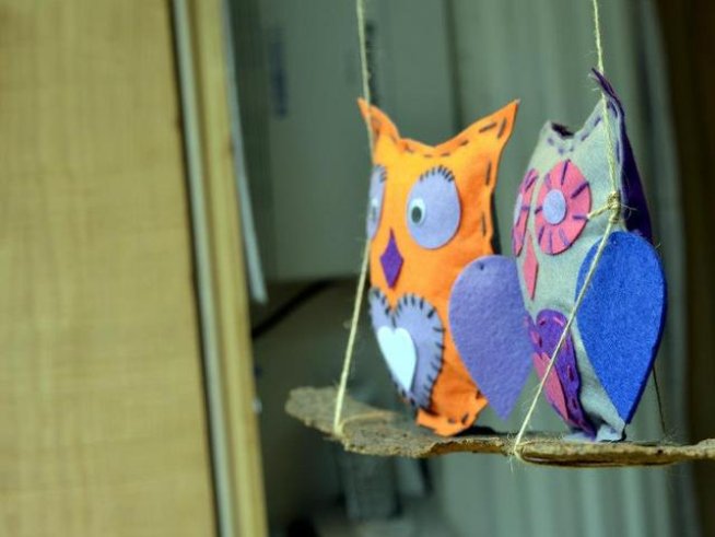 Снимка: "Слънчоглед"