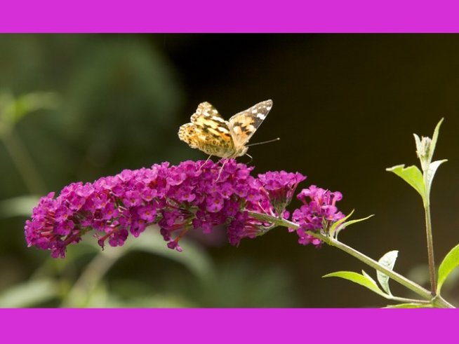 Снимка: Sxc.hu