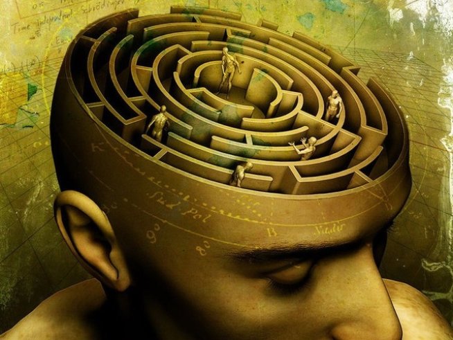 Трябва ли хората първо да изпитват емоции, за да могат да мислят?