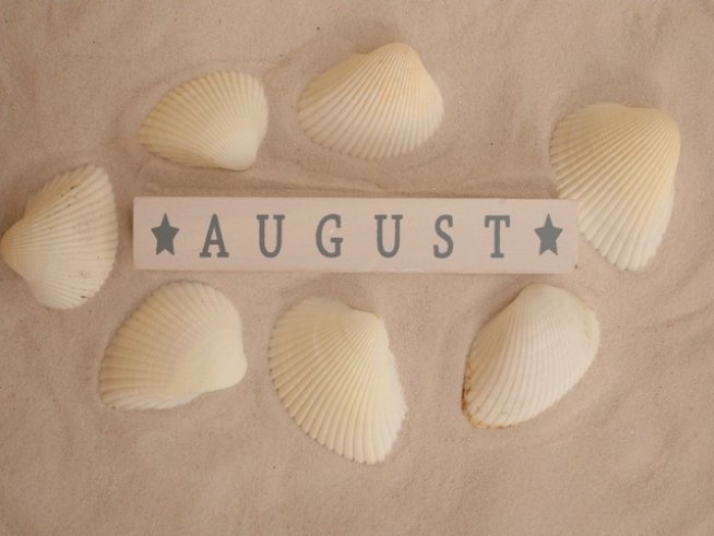 Снимка: pixabay