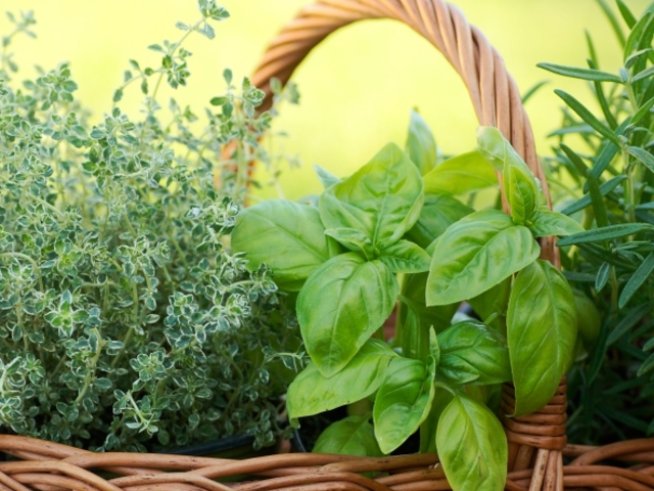 Снимка: Thinkstock