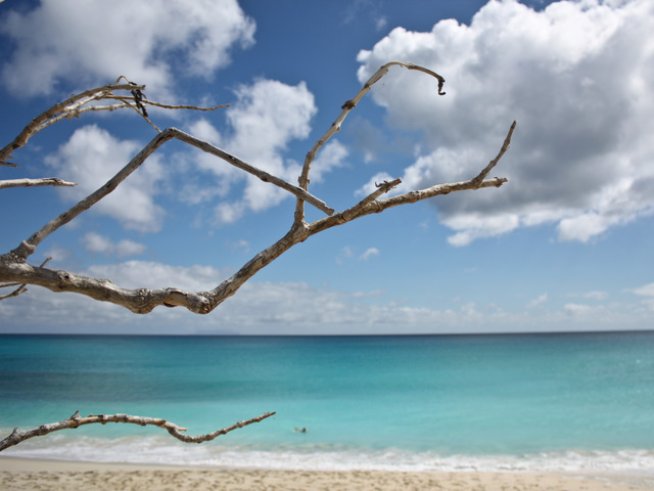 Снимка: Sxc.hu