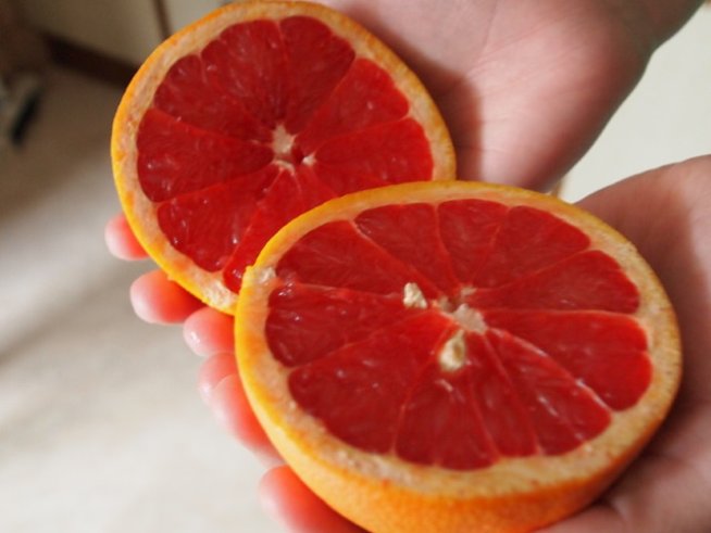 Снимка: Sxc.hu