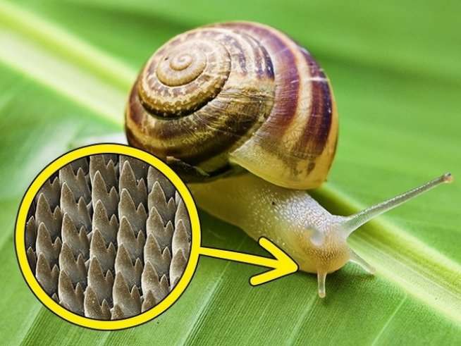 Снимка: brightside