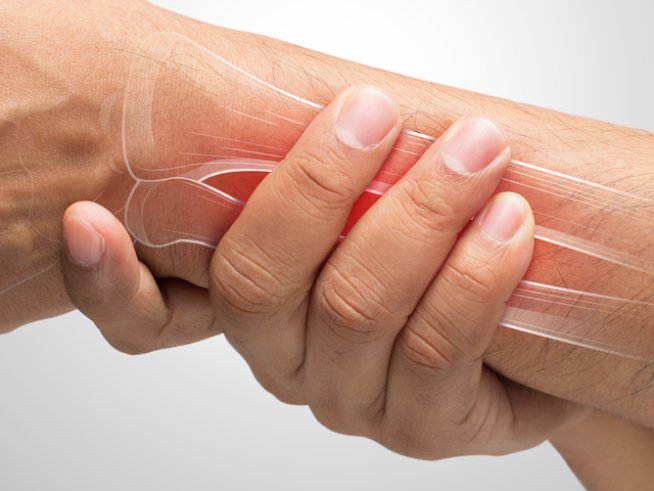 Снимка: istock