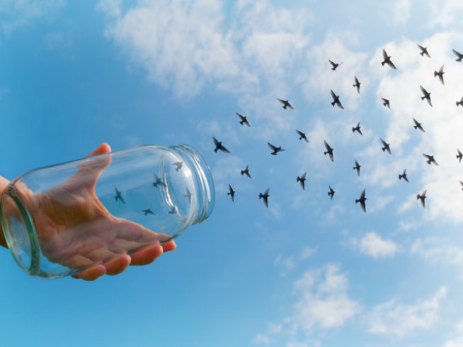 Снимка: thinkstock