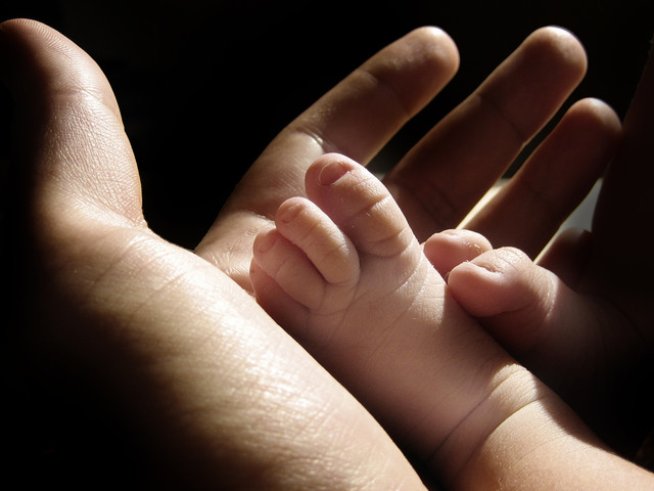 Снимка: Sxc.hu