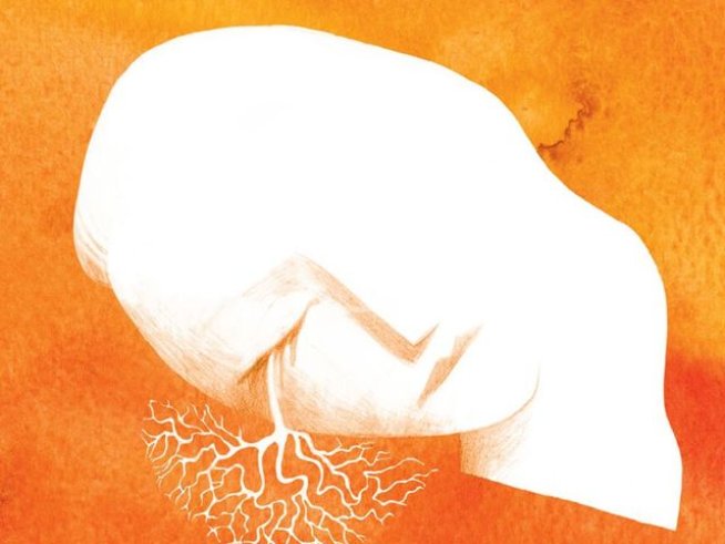 Корица: издателство "Колибри"