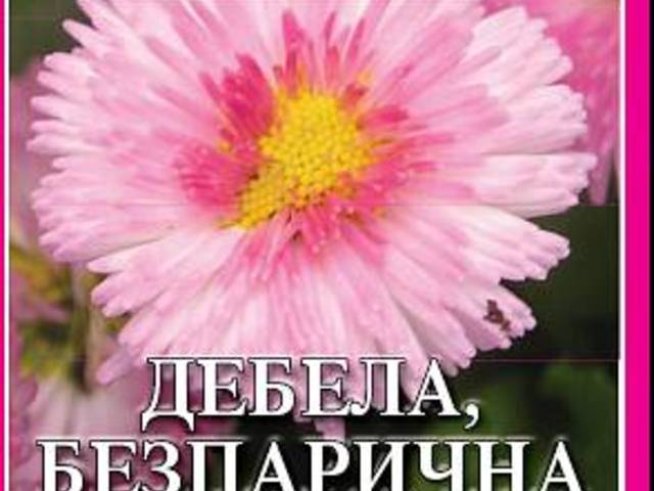 “Дебела, безпарична и самотна - Никога вече!” от Виктория Моран