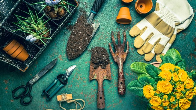 Градината има нужда от грижи. Снимка: istock