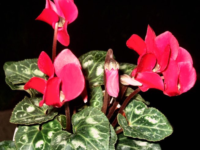 Снимка: Sxc.hu