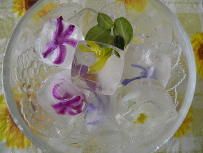 Снимка: Вергиния Генова