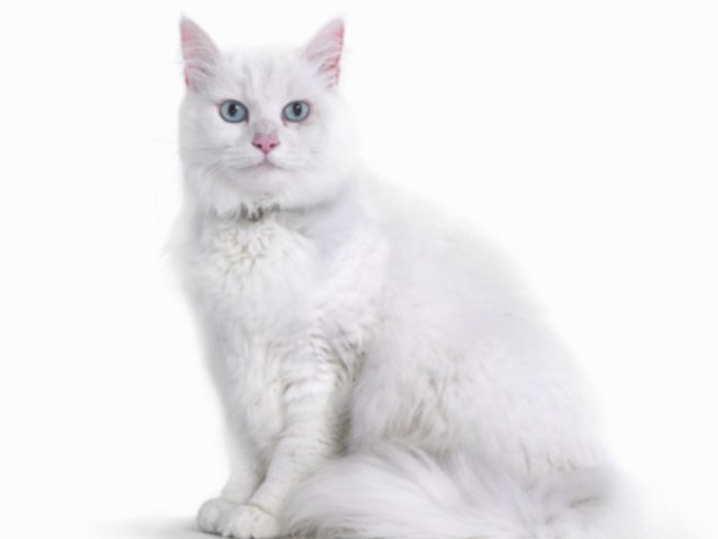 Снимка: Gettyimages.com