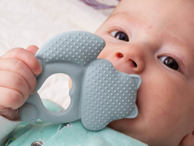 Снимка: istock