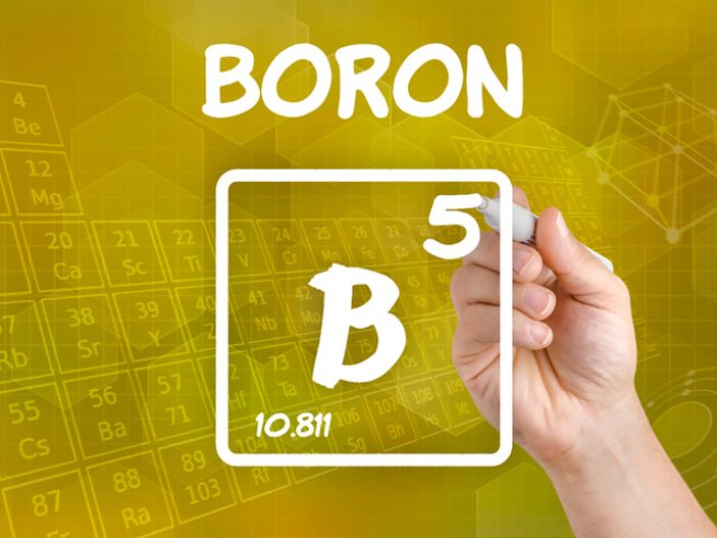 Снимка: istock