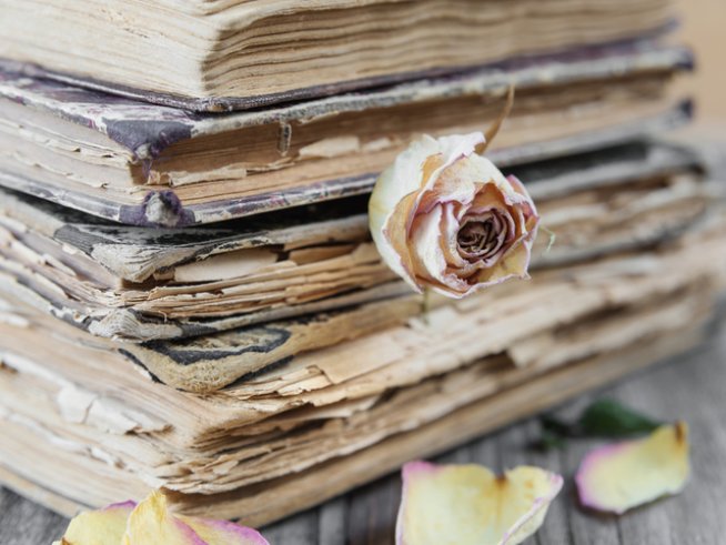 Снимка: istock