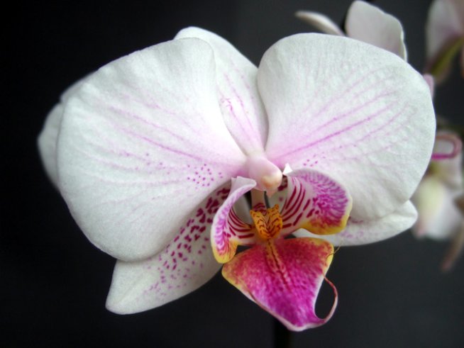 Снимка: Sxc.hu