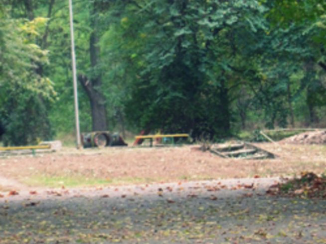 Прекрасните нюанси на есента