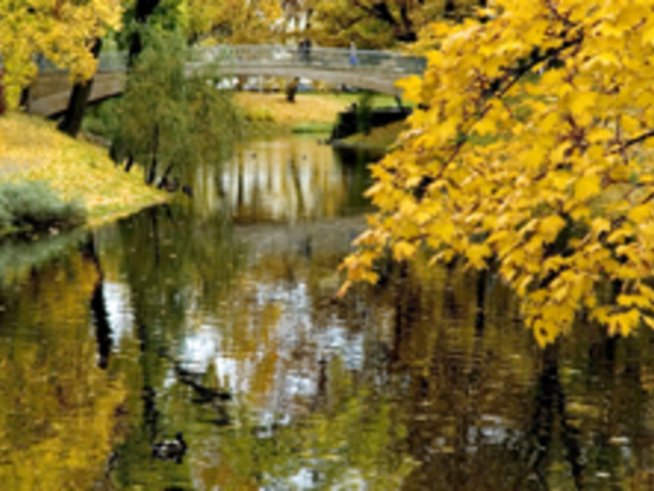 Най-сладки са плодовете на есента