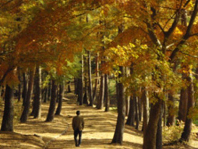 Единствен мой