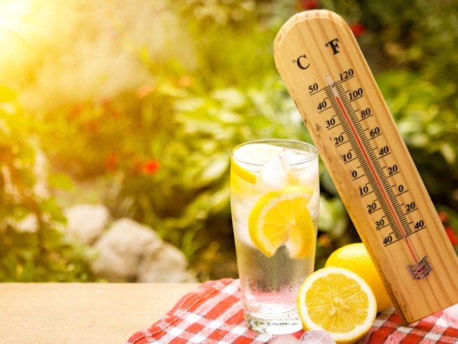 Снимка: istock