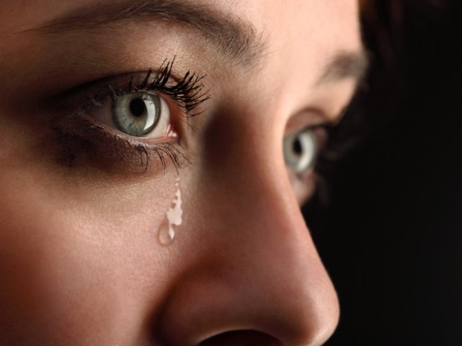 Снимка: istock