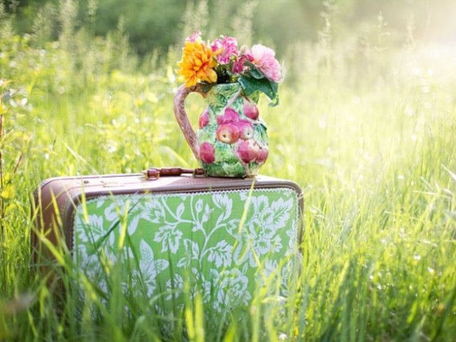 Снимка: pixabay