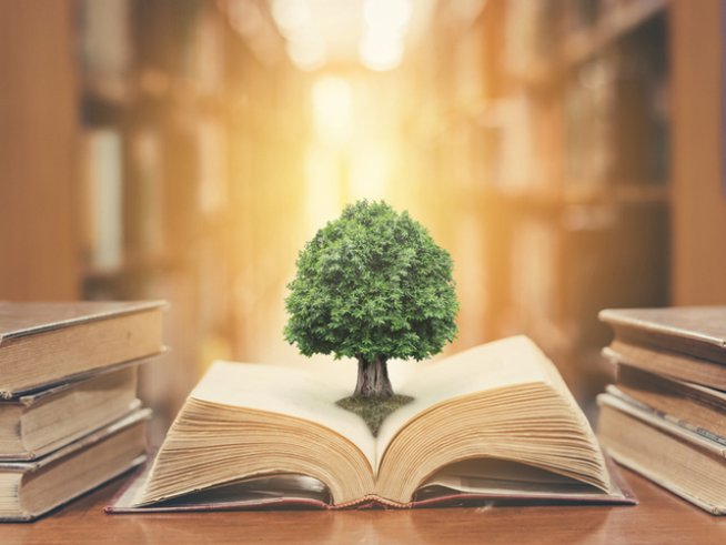 Снимка: istock