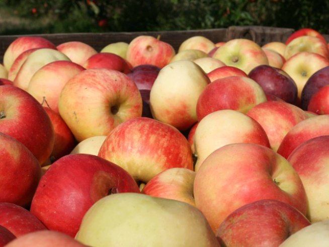 Снимка: Sxc.hu