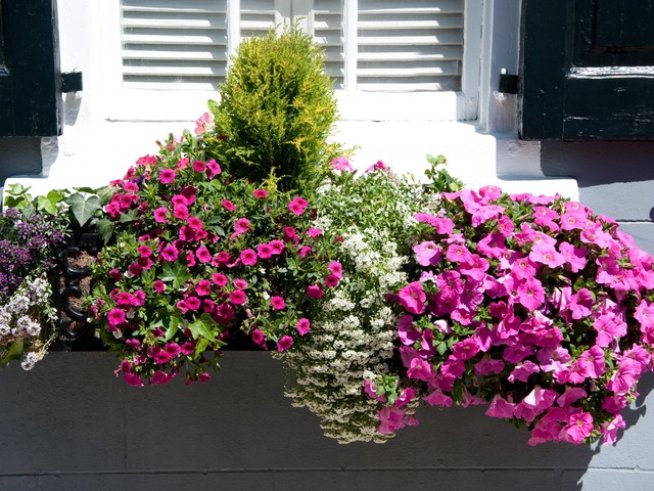 Снимка: Sxc.hu