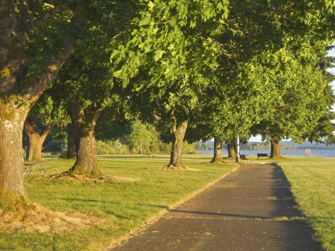 Снимка: Sxc.hu