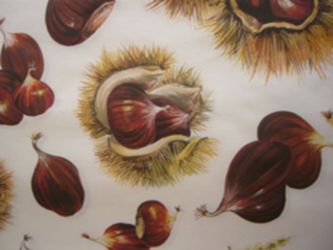 Нови есенни багри в декупажа