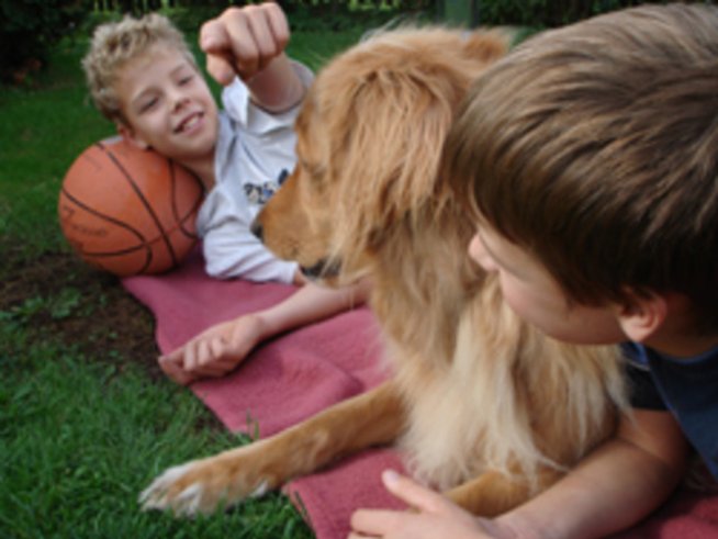 Летни занимания за деца на двора