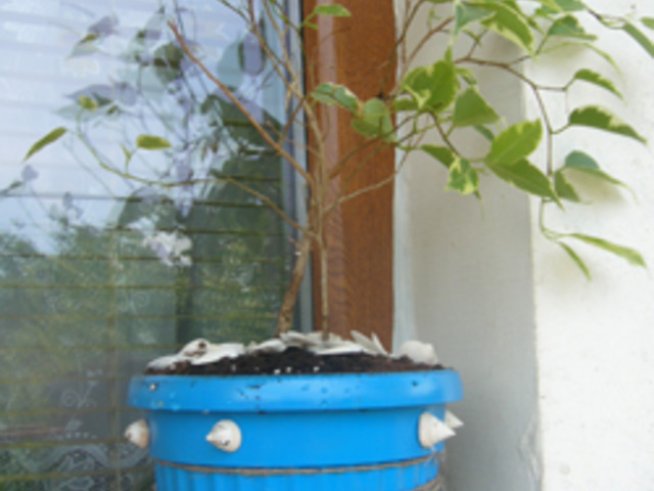 Морскосиньо за лятно настроение