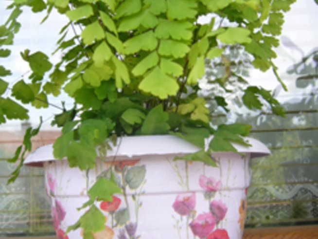 Нов дом за цветята