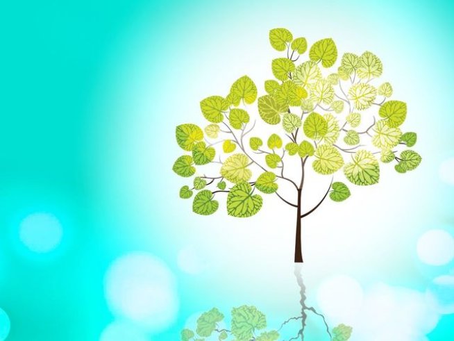 Корица: Издателство "Интенс"