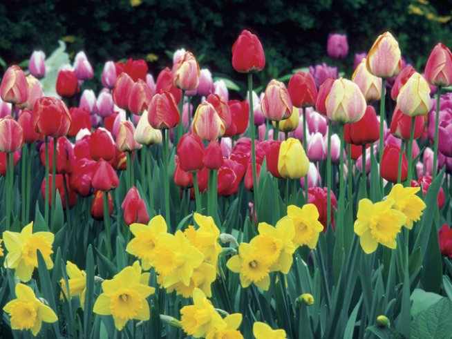 Снимка: Thinkstock