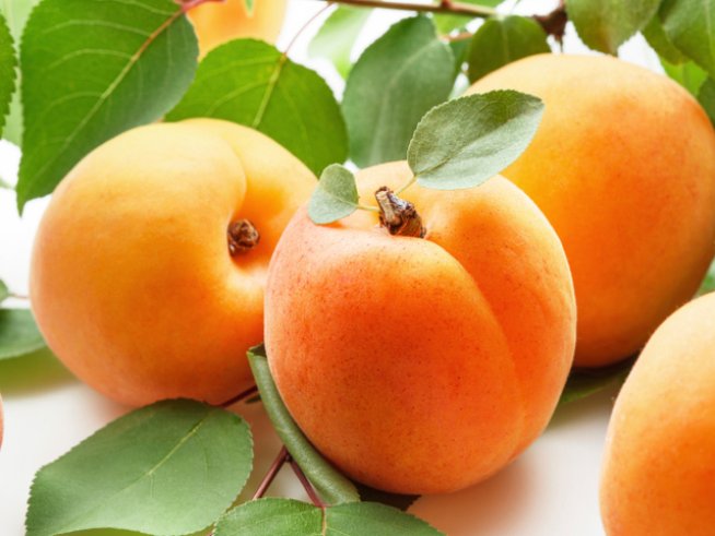 Снимка: Thinkstock