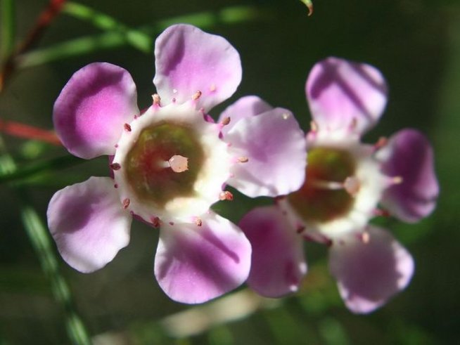 Снимка: Thinkstock