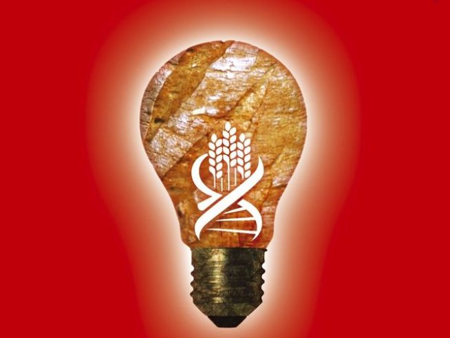 Корица: Издателство "Интенс"