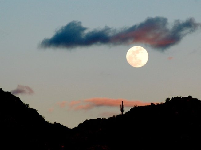 Снимка: Sxc.hu