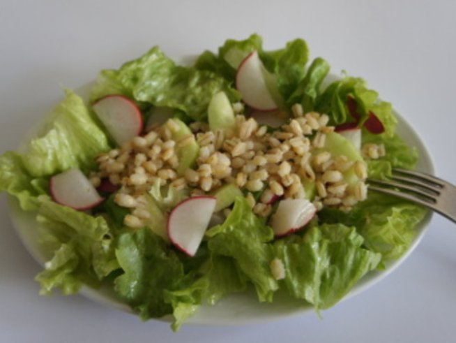 Елда, овес и жито влизат в пролетните салати