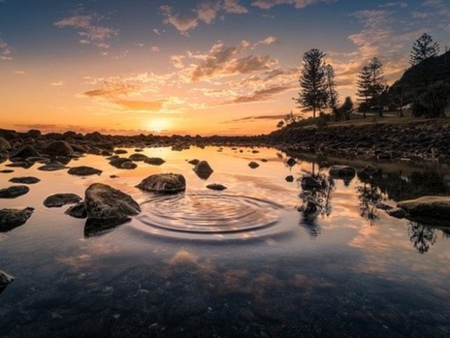 Снимка: pixabay