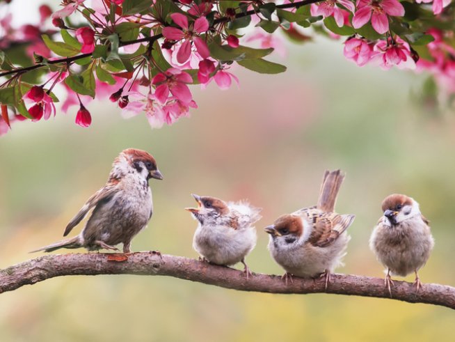 Снимка: istock